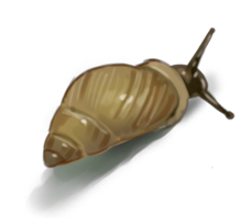 1 snaila